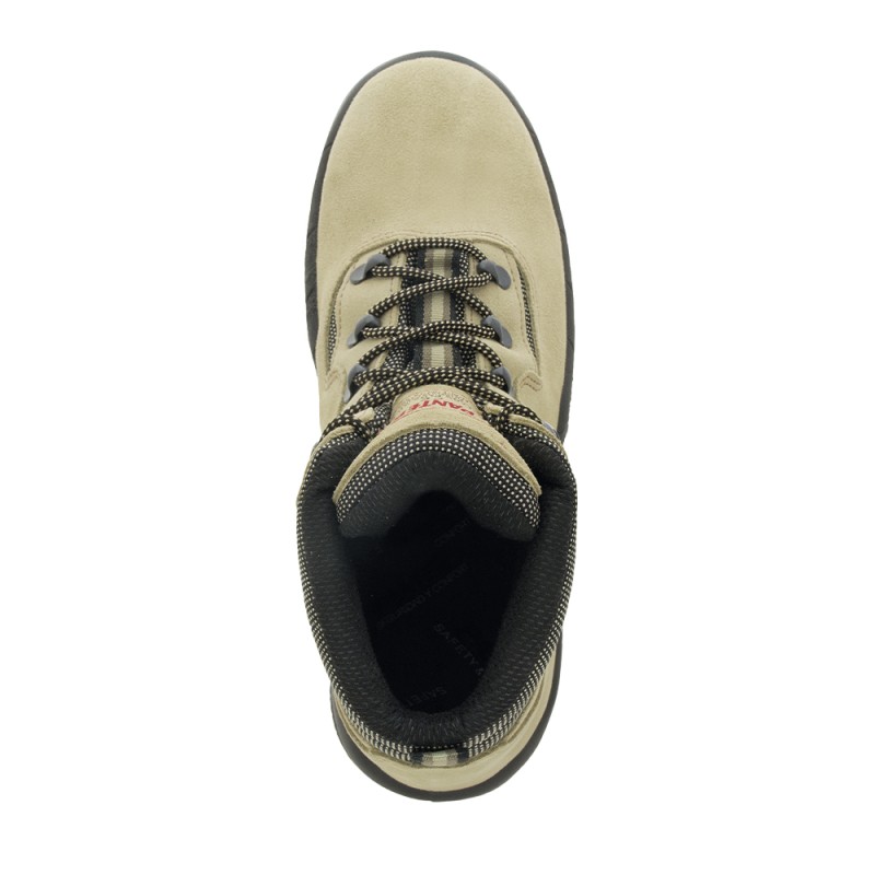 TEXAS PLUS S1P – Image 3